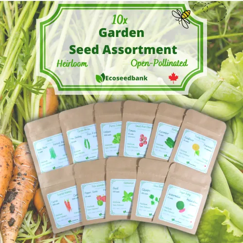 10x Garden Seed Assortment