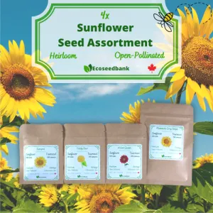 4x Sunflower Seed Assortment