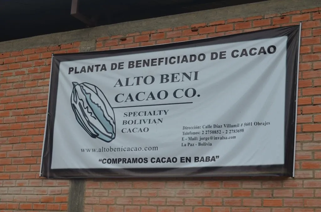 Bolivia Organic-certfied, Improved Walikeewa (hybrid, Amelonado) Unroasted Cacao Beans. Available only Salisbury, (MA).