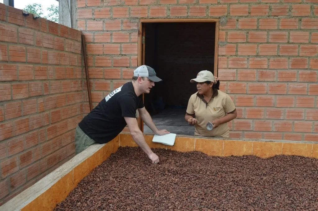 Bolivia Organic-certfied, Improved Walikeewa (hybrid, Amelonado) Unroasted Cacao Beans. Available only Salisbury, (MA).