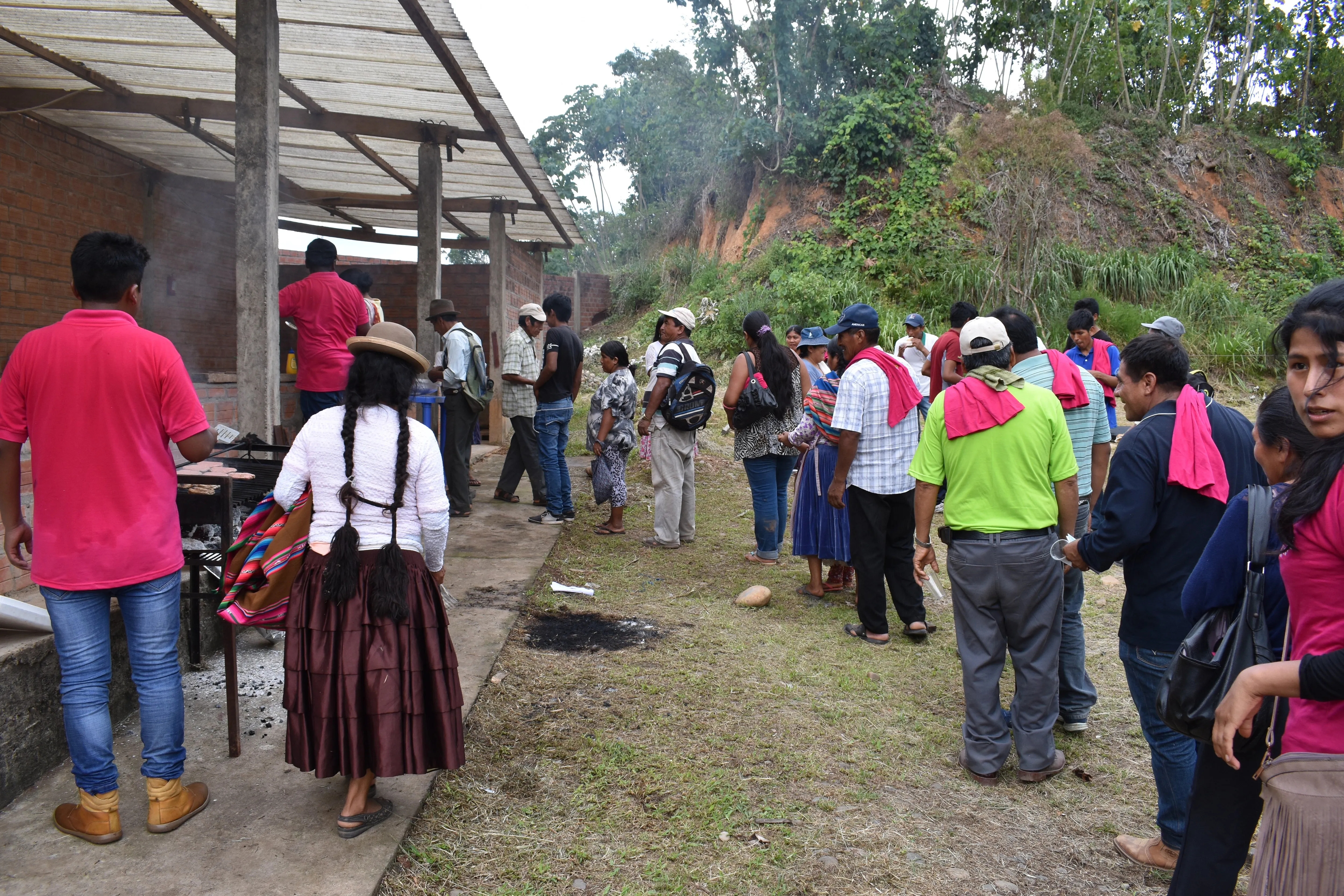 Bolivia Organic-certfied, Improved Walikeewa (hybrid, Amelonado) Unroasted Cacao Beans. Available only Salisbury, (MA).