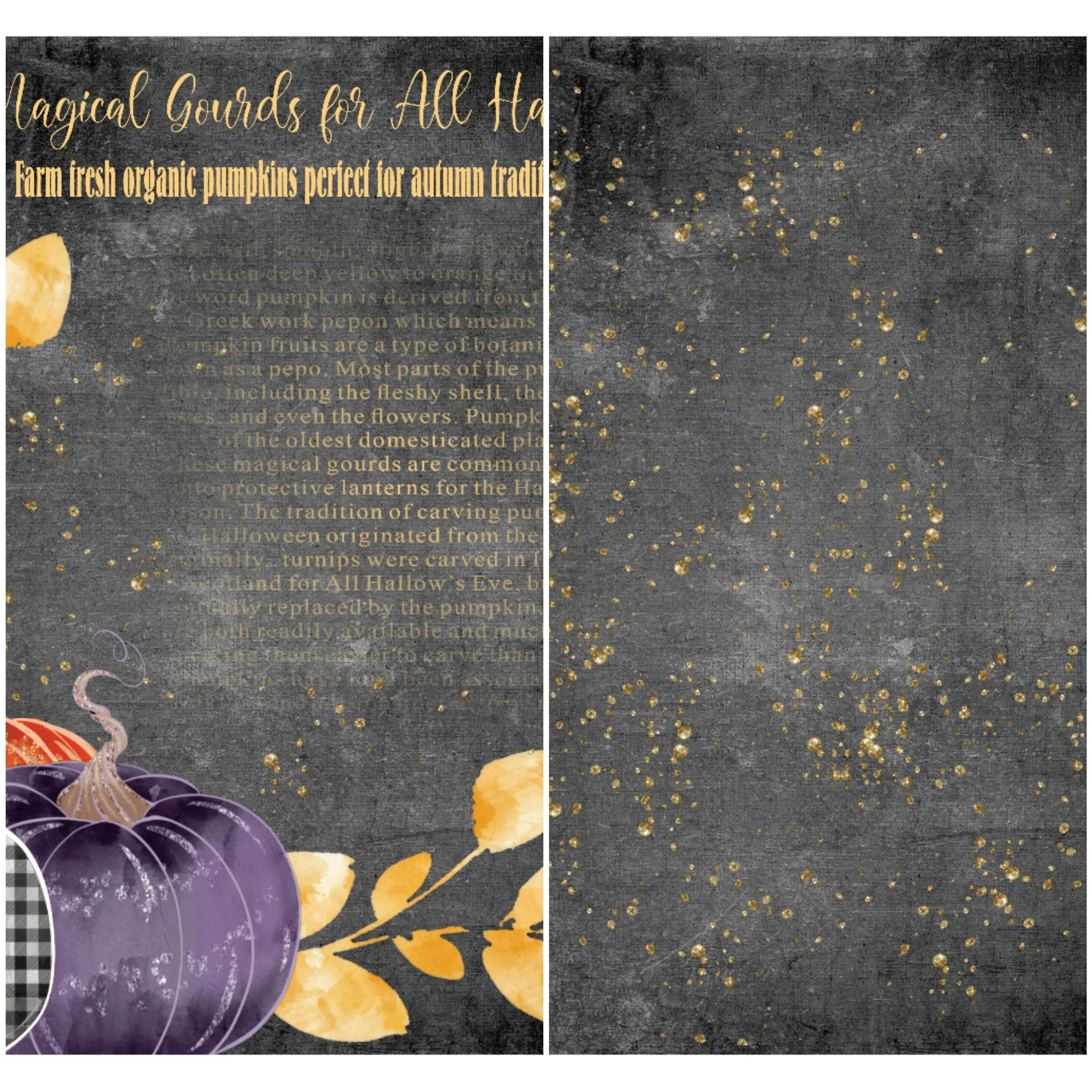 Country Craft Creations - Bewitching Hour - 12x12 - 24 Sheets - Cotton Bristol