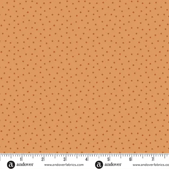 Edyta Sitar | Twinkle | Coral