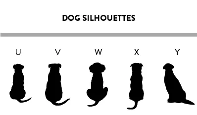 Snow Globe Shape Cookie Cutter (MULTI PET- Dog & Cat silhouettes to choose from)
