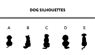 Snow Globe Shape Cookie Cutter (MULTI PET- Dog & Cat silhouettes to choose from)