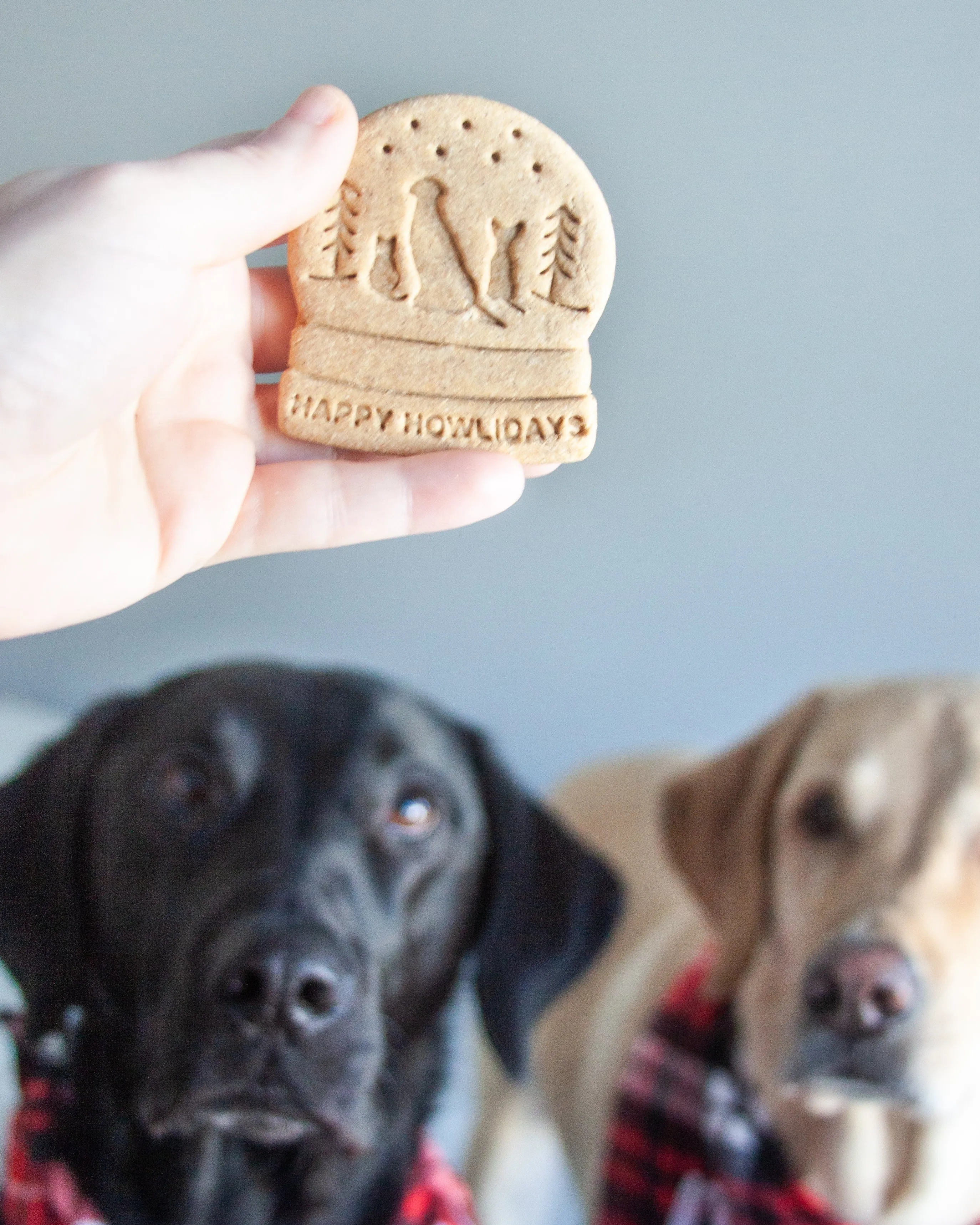 Snow Globe Shape Cookie Cutter (MULTI PET- Dog & Cat silhouettes to choose from)
